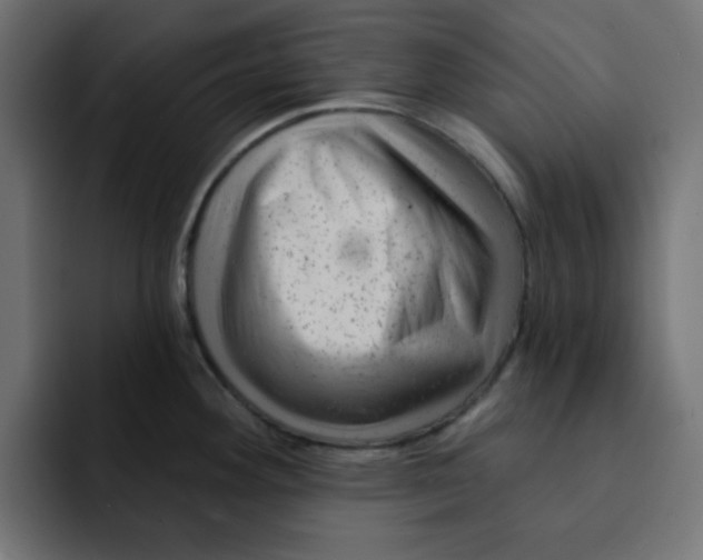 X0000092011292200710041019