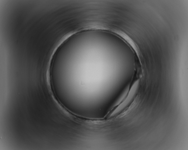 X0000092011293200710041019