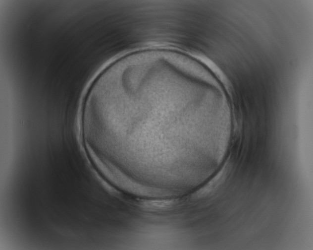 X0000092011294200710041019