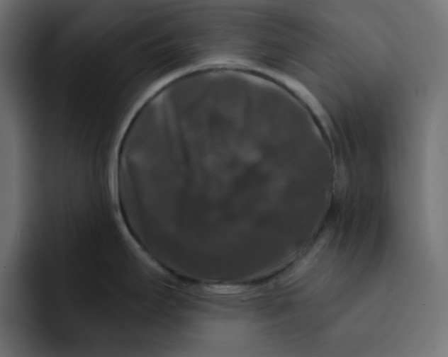 X0000092011295200710041019