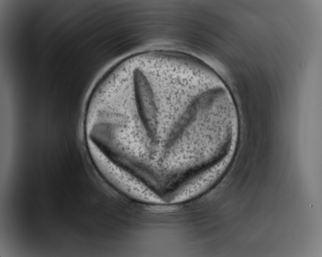 X0000092011296200710041019