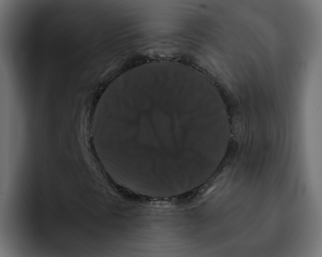 X0000092011297200710041018