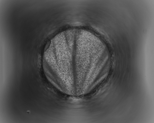 X0000092011301200710041018