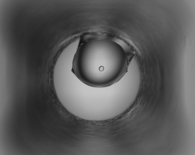 X0000092011304200710041018