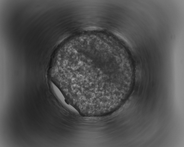 X0000092011305200710041018