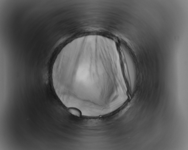 X0000092011306200710041018