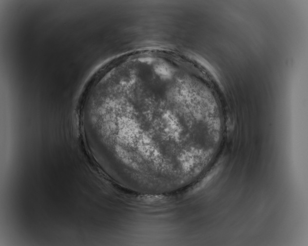 X0000092011310200710041018