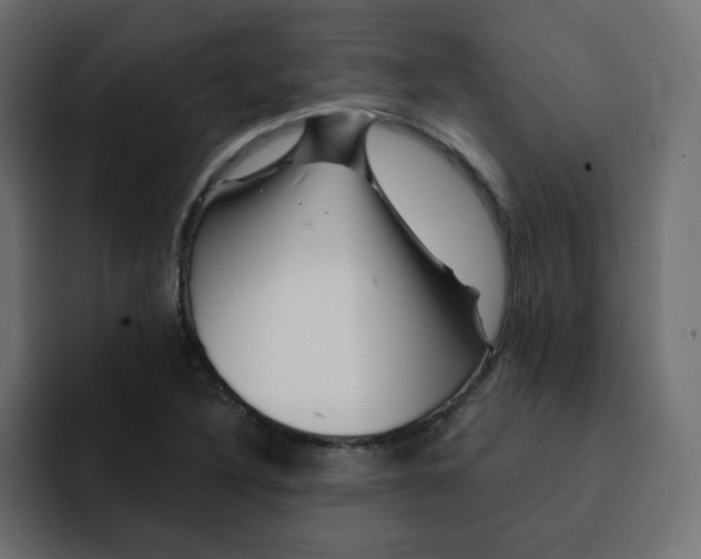 X0000092011316200710041018