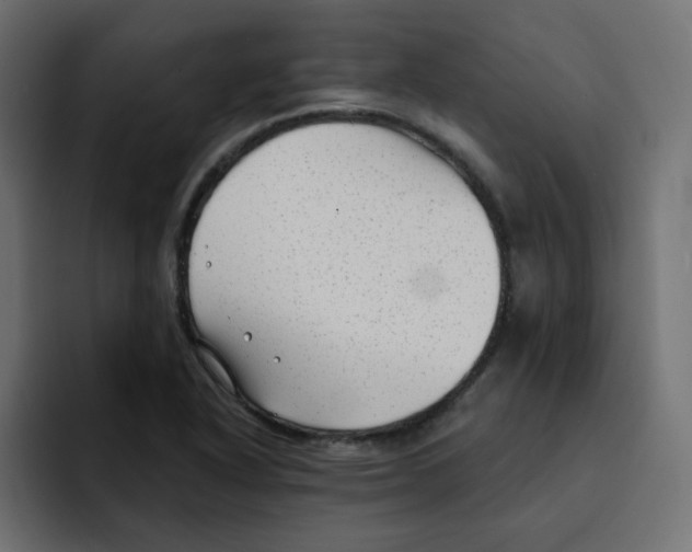 X0000092011318200710041018