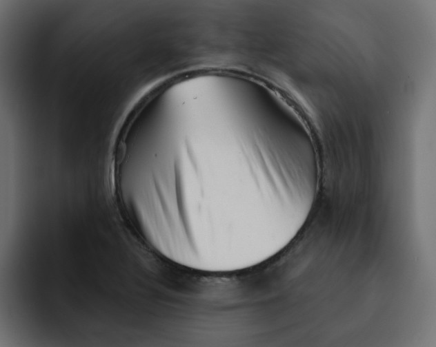 X0000092011320200710041018