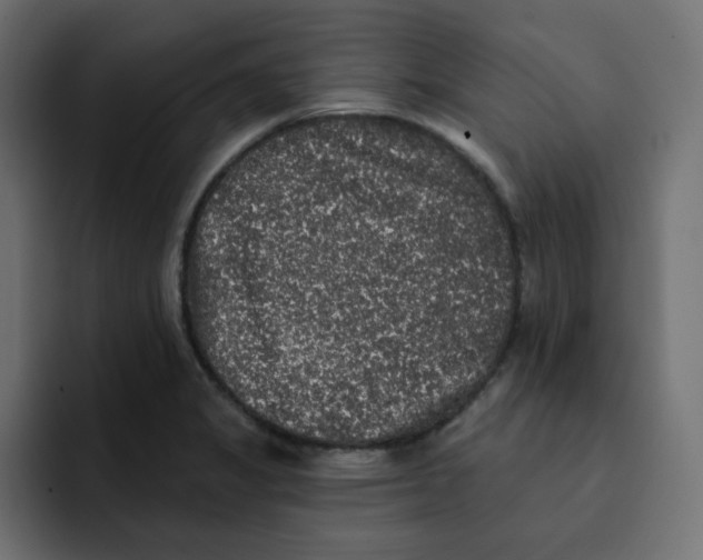 X0000092011325200710041018