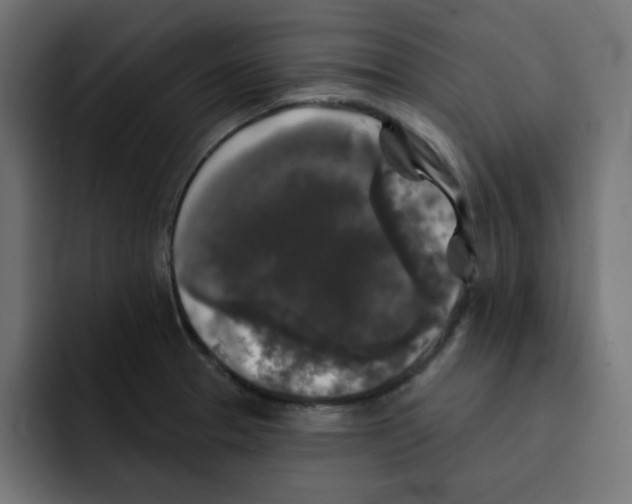 X0000092011329200710041018