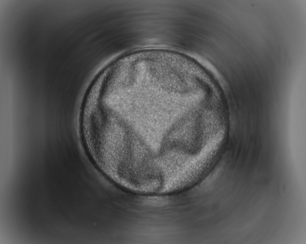 X0000092011333200710041018