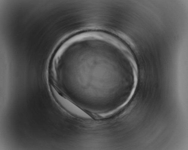 X0000092011334200710041018