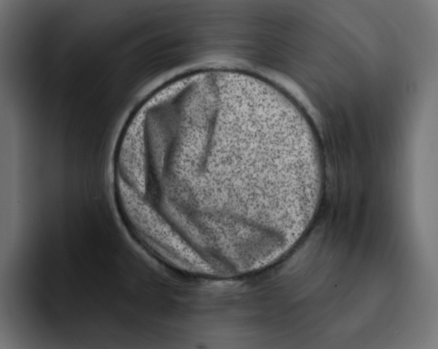 X0000092011335200710041018