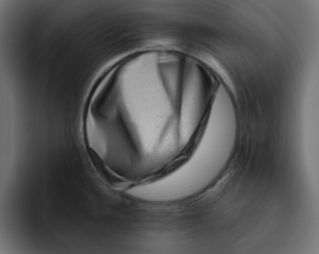 X0000092011336200710041018