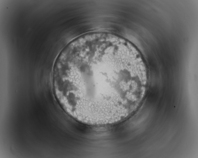 X0000092011338200710041018