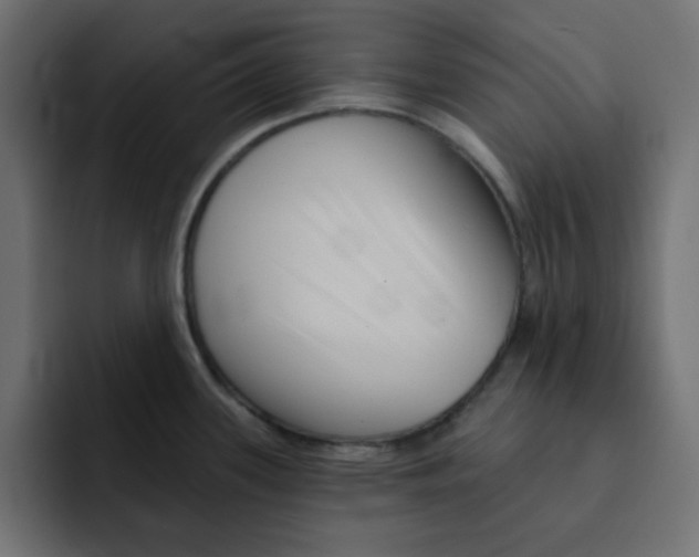 X0000092011339200710041018