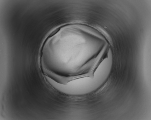 X0000092011340200710041019