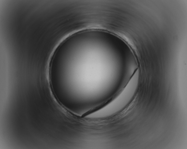 X0000092011342200710041019