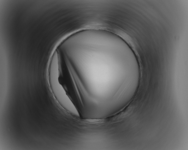 X0000092011344200710041019