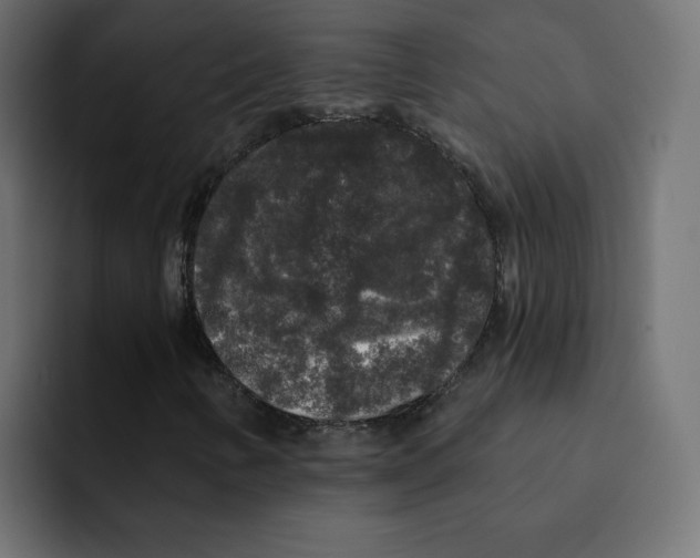 X0000092011346200710041018