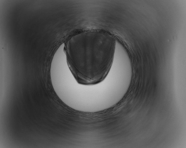 X0000092011348200710041018