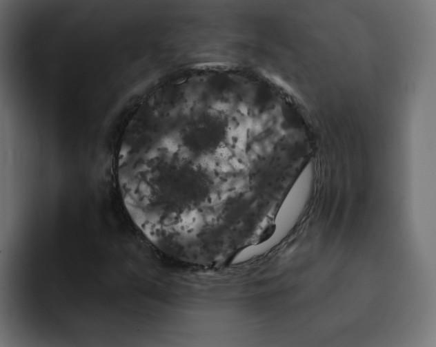 X0000092011351200710041018