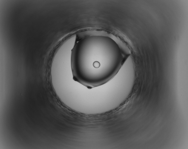 X0000092011352200710041018