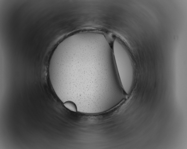 X0000092011355200710041018