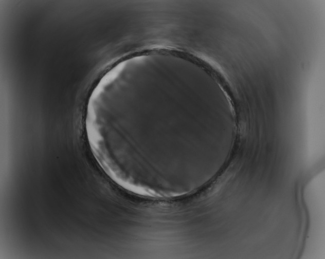 X0000092011359200710041018