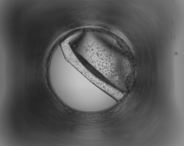 X0000092011360200710041018