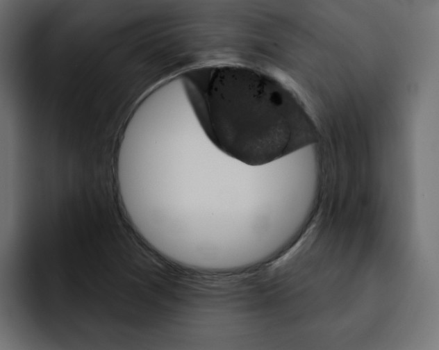 X0000092011361200710041018