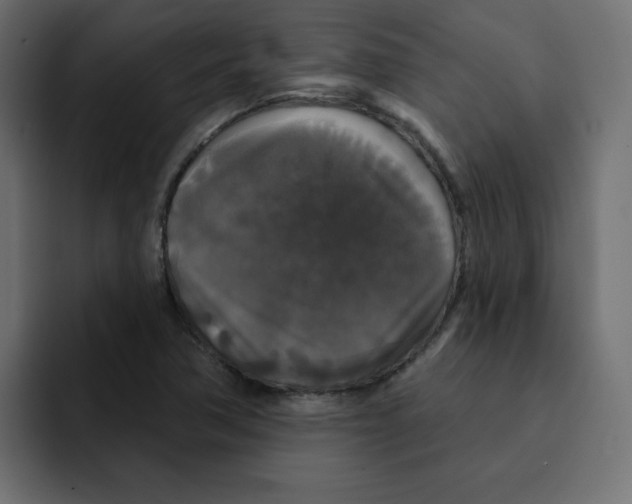 X0000092011362200710041018