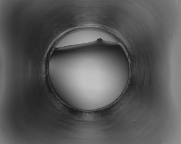 X0000092011364200710041018