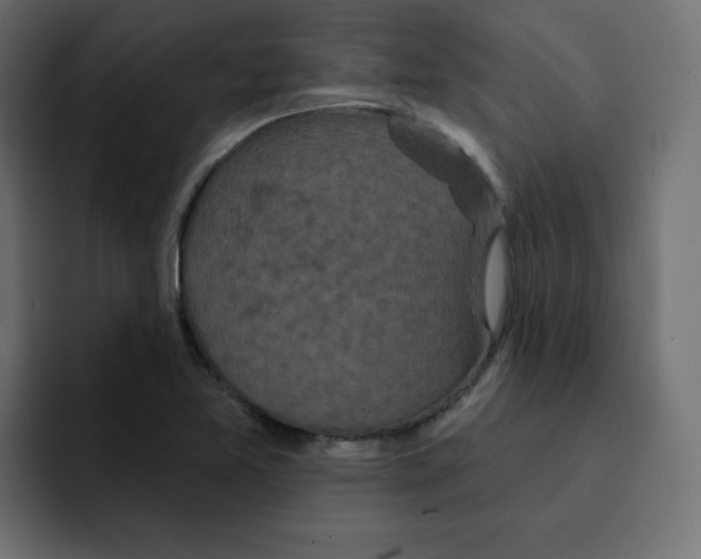 X0000092011365200710041018