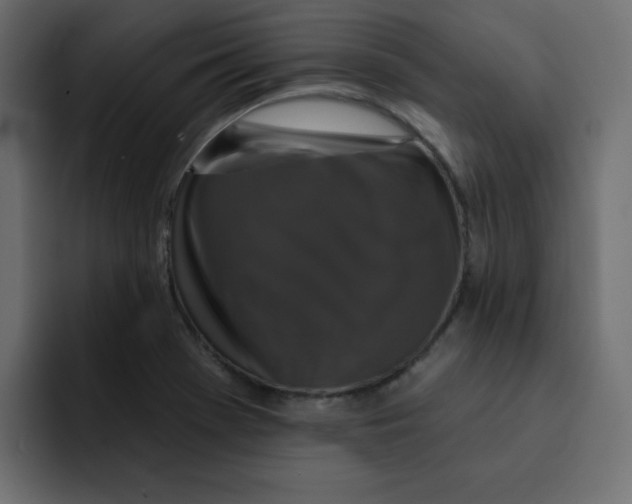 X0000092011369200710041018