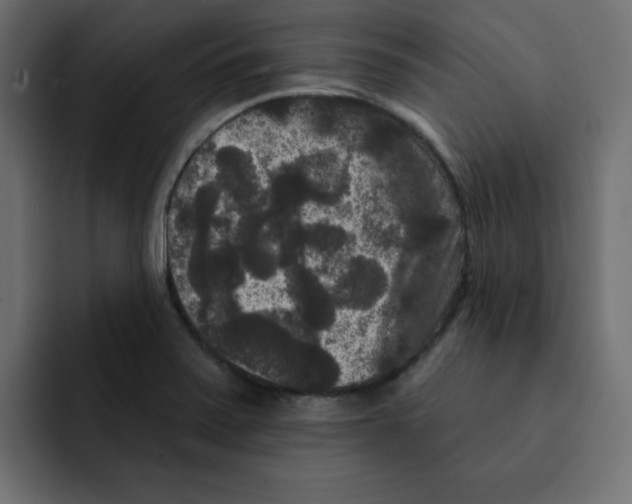 X0000092011371200710041018