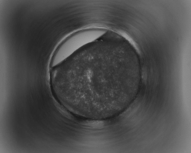 X0000092011372200710041018