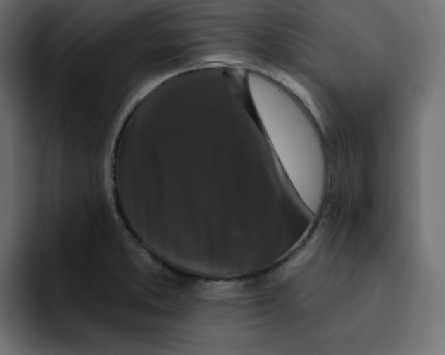 X0000092011373200710041018