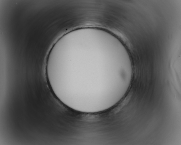 X0000092011374200710041018