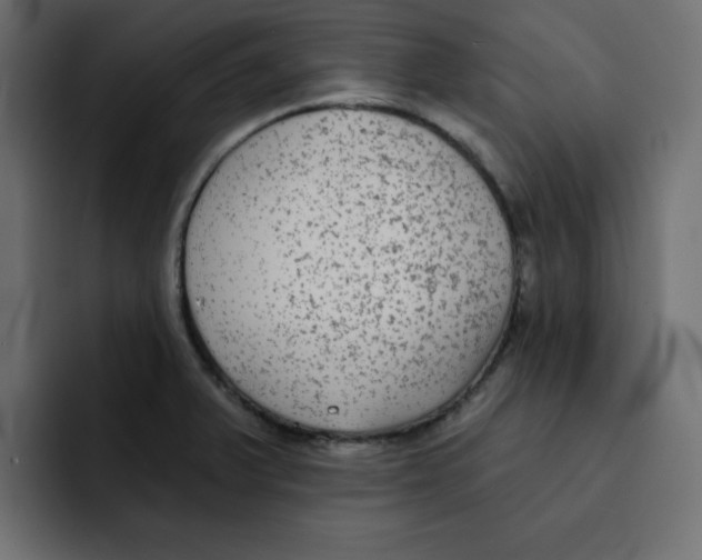 X0000092011375200710041018