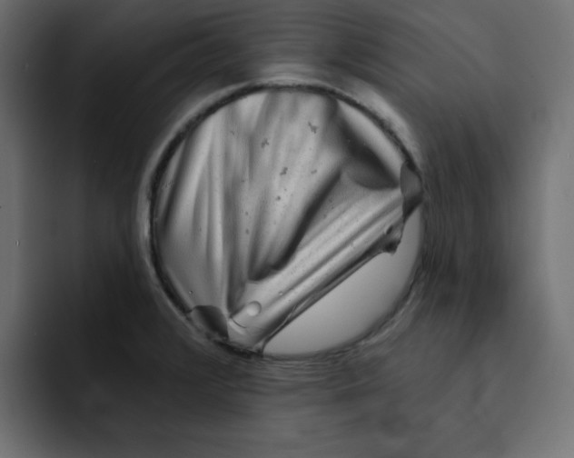 X0000092011376200710041018