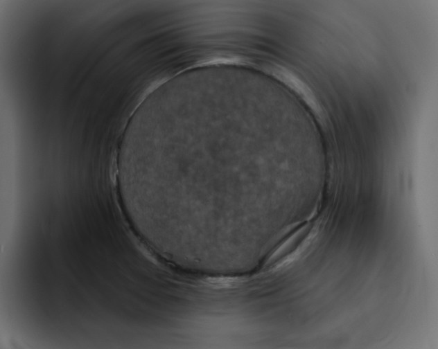 X0000092011377200710041018