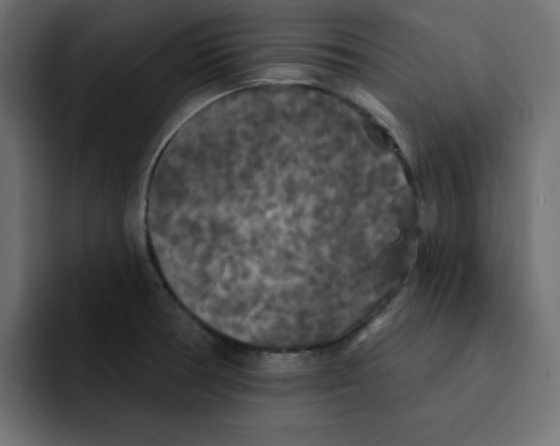 X0000092011378200710041018