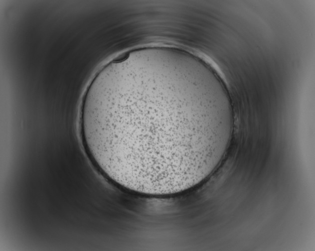 X0000092011379200710041018