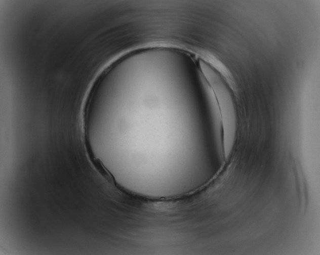 X0000092011380200710041018