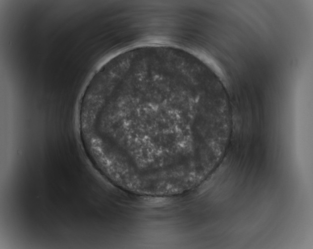 X0000092011382200710041018