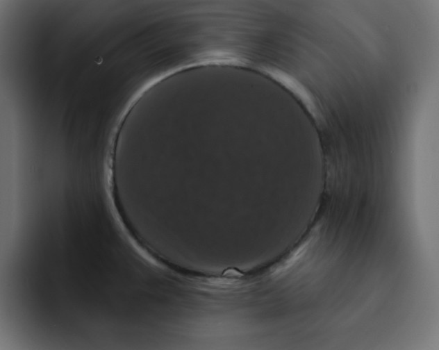 X0000092011383200710041018