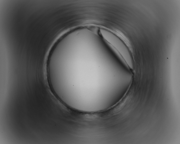 X0000092011384200710041018